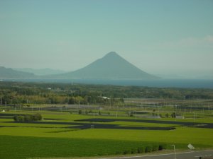 画像1: 知覧茶 鹿児島産　ゆたかみどり種　深蒸し茶 (1)