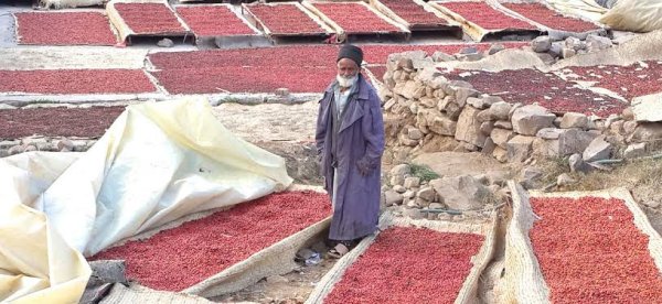 画像11: カップの中の世界旅行「コーヒー定期便」お得にレアもの！ (11)