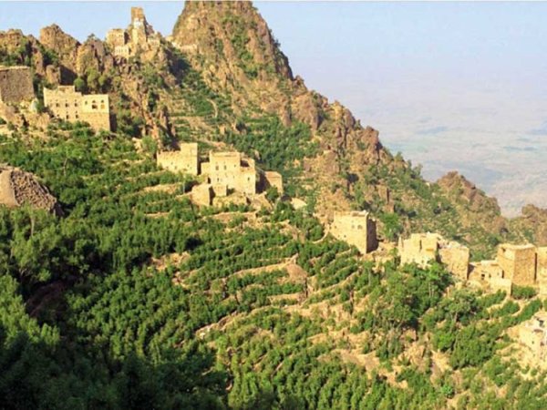 画像9: カップの中の世界旅行「コーヒー定期便」お得にレアもの！ (9)