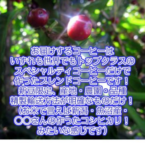 画像3: 送料無料　個包装ドリップコーヒーセット　最高級のドリップ珈琲　１５杯分 (3)