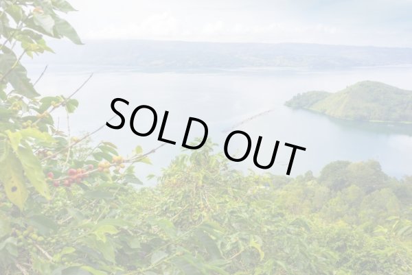 画像2: インドネシア　スマトラ島マンデリン・リントン・スマトラタイガー　深煎(フレンチロースト) (2)