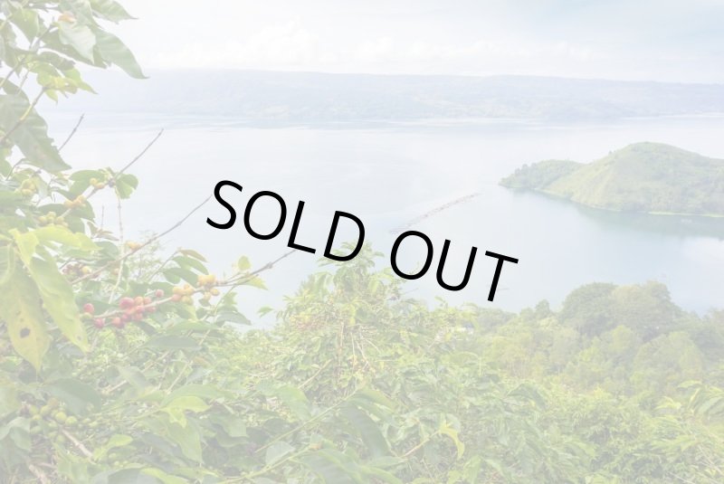 画像2: インドネシア　スマトラ島マンデリン・リントン・スマトラタイガー　深煎(フレンチロースト) (2)