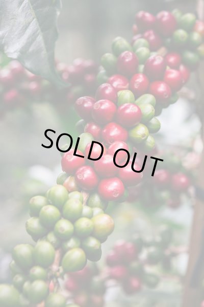 画像3: インドネシア　スマトラ島マンデリン・リントン・スマトラタイガー　深煎(フレンチロースト) (3)