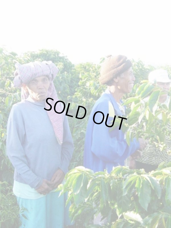 画像1: インドネシア　スマトラ島マンデリン・リントン・スマトラタイガー　深煎(フレンチロースト) (1)