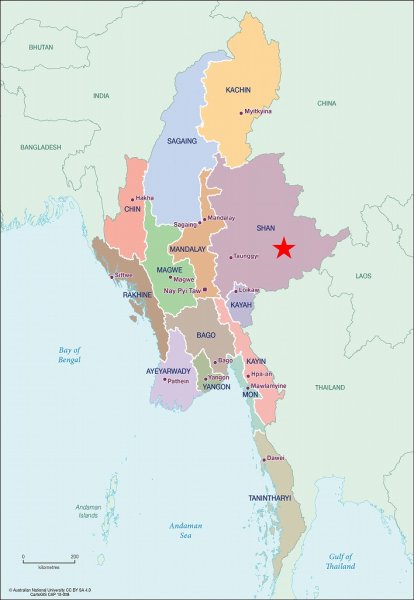 画像5: フェアトレード　ミャンマー　シャン　ミャエニコン村　アナエロビック・ウォッシュド　　中煎(シティーロースト) (5)