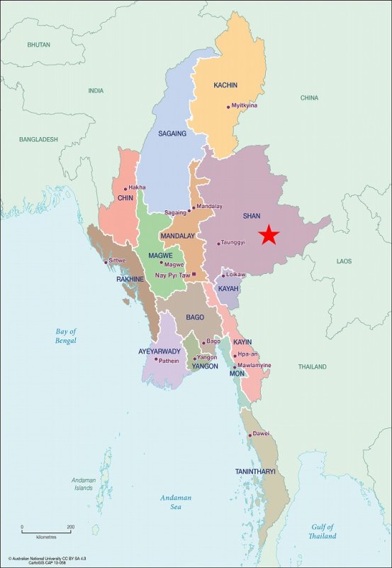 画像5: フェアトレード　ミャンマー　シャン　ミャエニコン村　アナエロビック・ウォッシュド　　中煎(シティーロースト) (5)