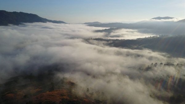 画像4: フェアトレード　東ティモール　レテフォホ　　中煎(シティーロースト) (4)