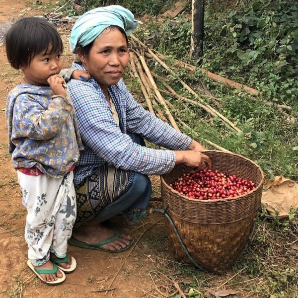 画像4: 送料無料！ SDGs　フェアトレードセット（各２００ｇ）　 (4)