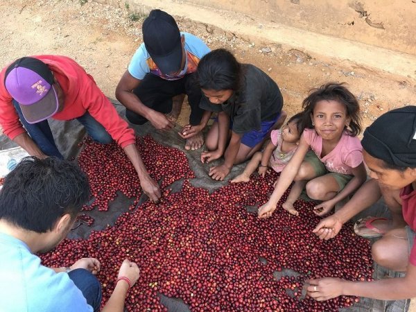 画像2: 送料無料！ SDGs　フェアトレードセット（各２００ｇ）　 (2)