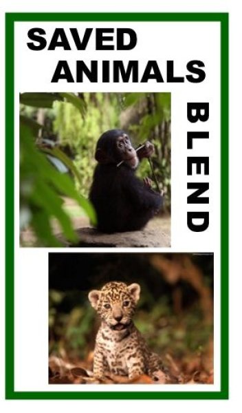 画像1: SDGs 動物保護支援ブレンド  (1)