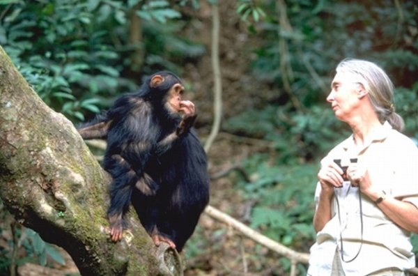 画像2: SDGs 動物保護支援ブレンド  (2)