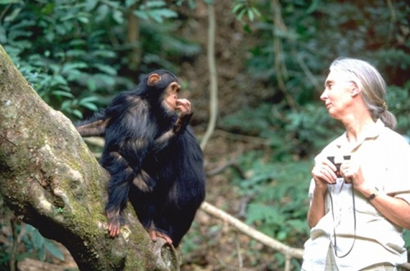 画像2: SDGs 動物保護支援ブレンド  (2)