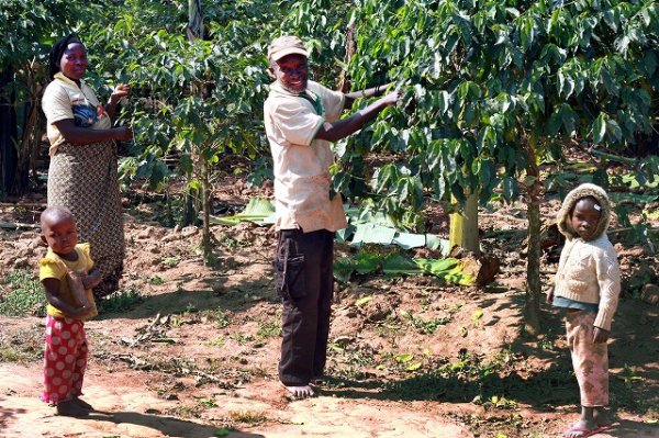 画像5: SDGs 動物保護支援ブレンド  (5)