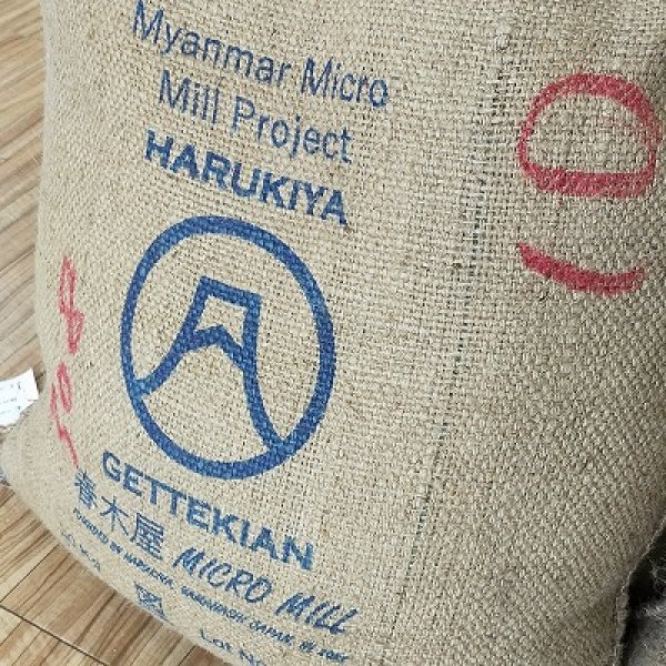 画像2: フェアトレード　ミャンマー　シャン　ミャエニコン村　アナエロビック・ウォッシュド　　中煎(シティーロースト) (2)