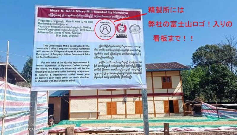 画像3: フェアトレード　ミャンマー　シャン　ミャエニコン村　アナエロビック・ウォッシュド　　中煎(シティーロースト) (3)