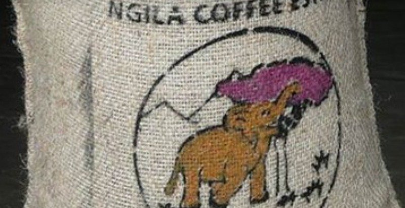 画像4: タンザニア　キリマンジャロ　ンギラ農園　中深煎(フルシティロースト) (4)