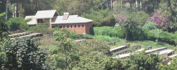 画像2: タンザニア　キリマンジャロ　ンギラ農園　中深煎(フルシティロースト) (2)