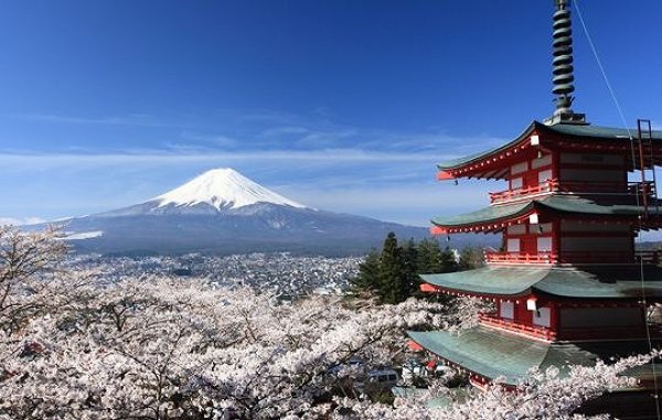 画像14: アウトレット　八百万（やおよろず）ブレンド (14)