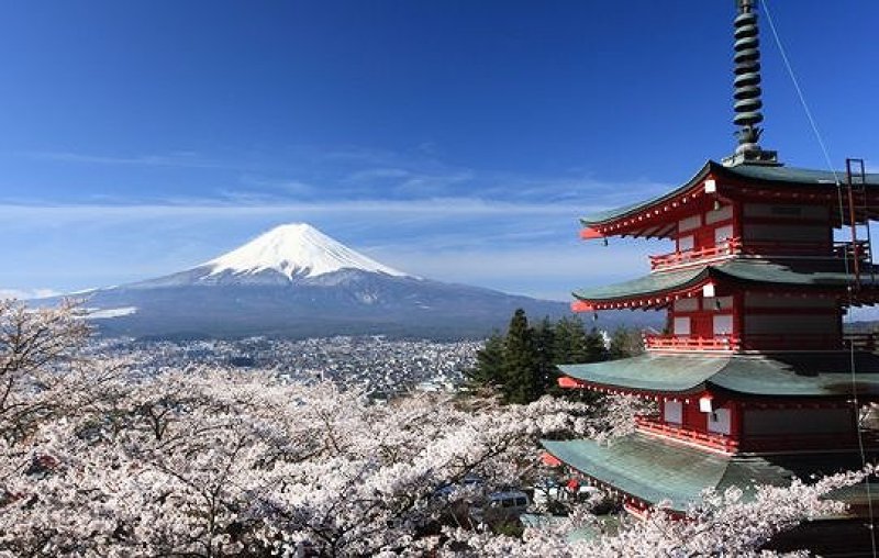 画像14: アウトレット　八百万（やおよろず）ブレンド (14)