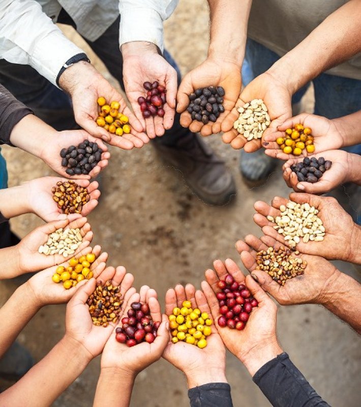 画像8: アウトレット　八百万（やおよろず）ブレンド (8)