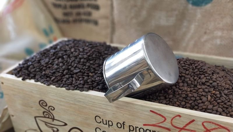 画像12: アウトレット　八百万（やおよろず）ブレンド (12)