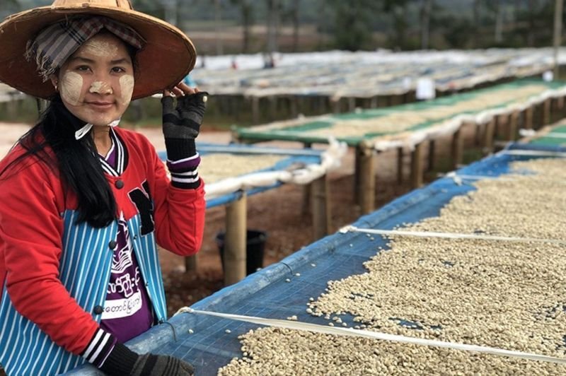 画像6: アウトレット　八百万（やおよろず）ブレンド (6)