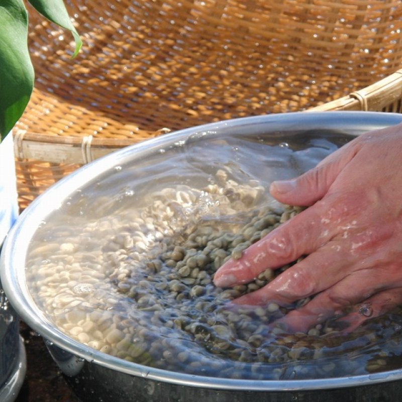 画像11: アウトレット　八百万（やおよろず）ブレンド (11)