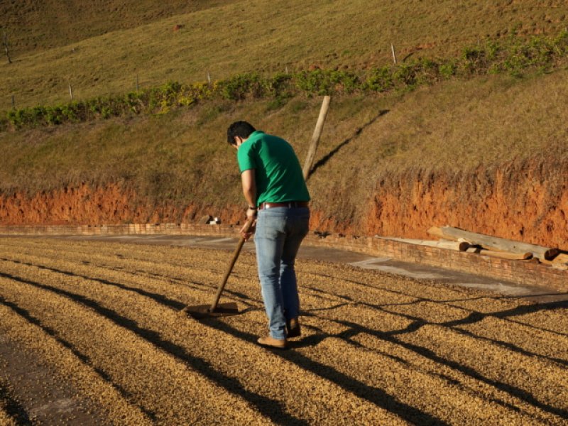 画像3: ブラジル　カルモデミナス　カクェンジ農園 (3)