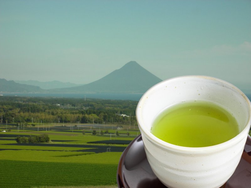 画像1: 知覧茶 鹿児島産　ゆたかみどり種　深蒸し茶 (1)