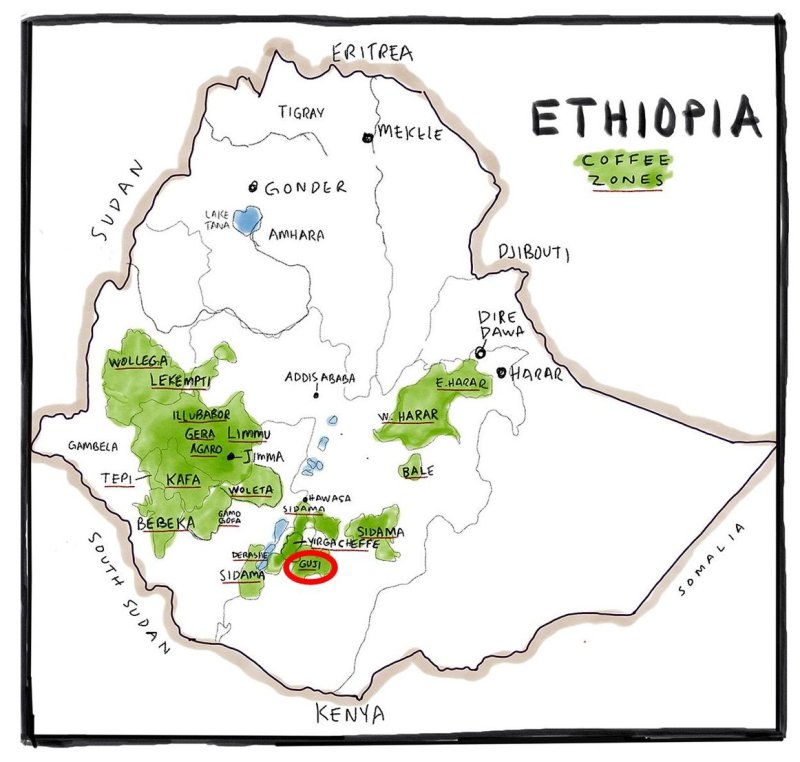 画像4: エチオピア　モカ　グジ　ハンベラ　ナチュラル (4)