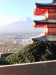 画像3: ふじやま茶 (3)
